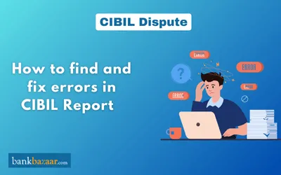 Cibil Disputes