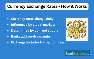 Currency Exchange Infographic