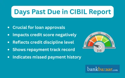 DPD in cibil report