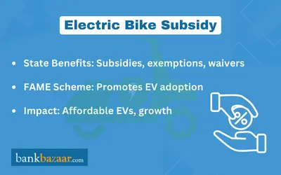electric bike subsidy