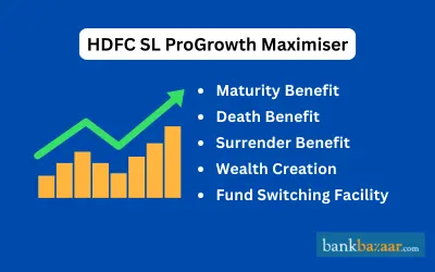 HDFC SL ProGrowth Maximiser