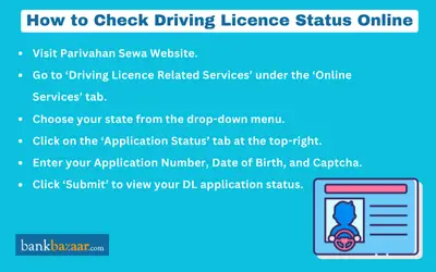 Guide to check your driving licence status online