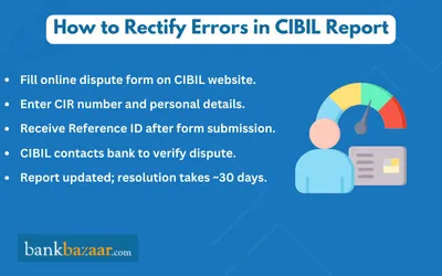 errors in cibil report
