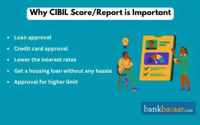 importance of cibil