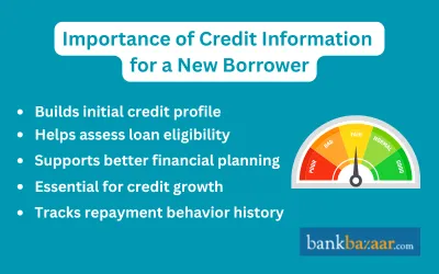 importance of credit information