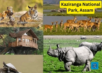Kaziranga National Park