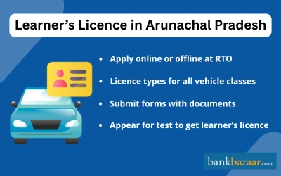 Learner's Licence in AP
