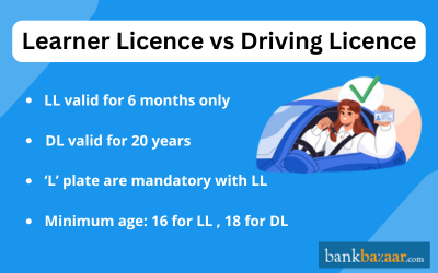 Learner vs Driving Licence