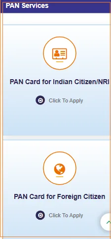 Apply for NRI PAN Card