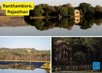 Ranthambore
