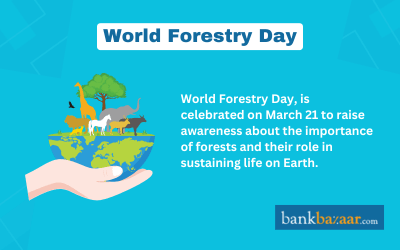 World Forests Day