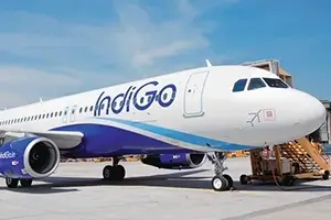 Indigo